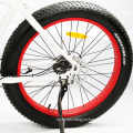 26 Inch Fat Tire Electric Bike Snow Beach Cruiser Electrical Bicycle